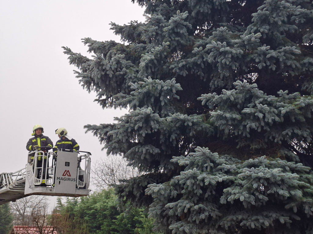 Az Ország Karácsonyfája című videó előképe