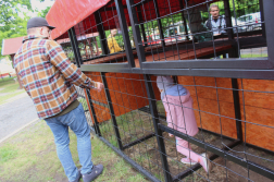 Sokan kipróbálták a ketrec akadálypályát Nyíregyházán