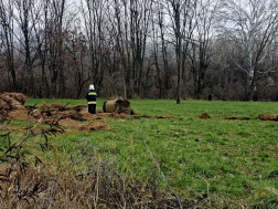 vásárosnaményi ötp