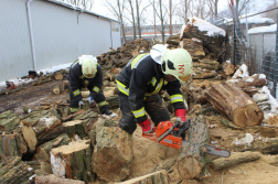 tűzifát vágnak a tűzoltók