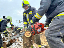 tűzifát vágnak a tűzoltók