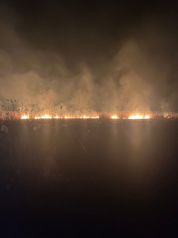 szabadtéri tűz nádas