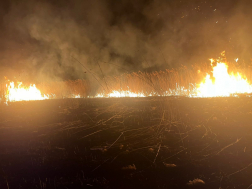 Pátroha szabadtéri tűz