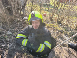 kutyamentés, Vasmegyer