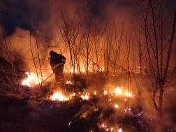 szabadtéri tűz Székelynél