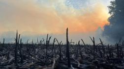 terület Tiborszállás