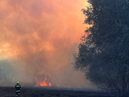 terület Tiborszállás