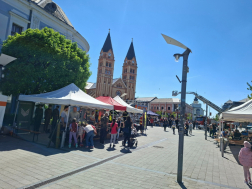 erőpróba